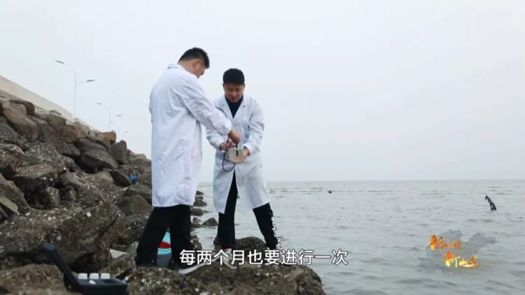 海陆并举严控污染物 “湾长制”让胶州湾水质持续改善